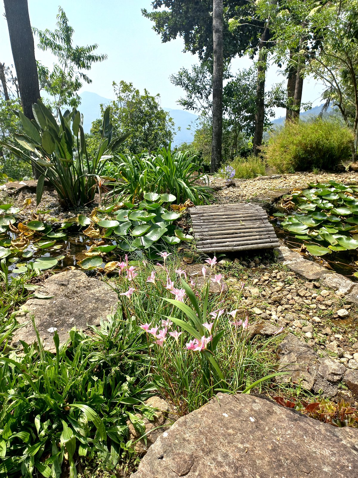 The Zen garden is inspired by Japanese rock gardens